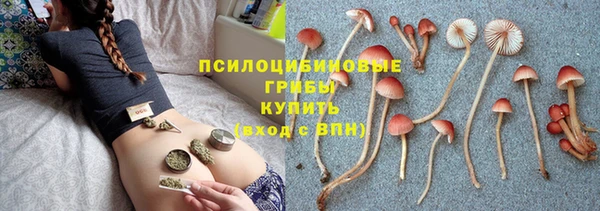 мяу мяу мука Алексеевка