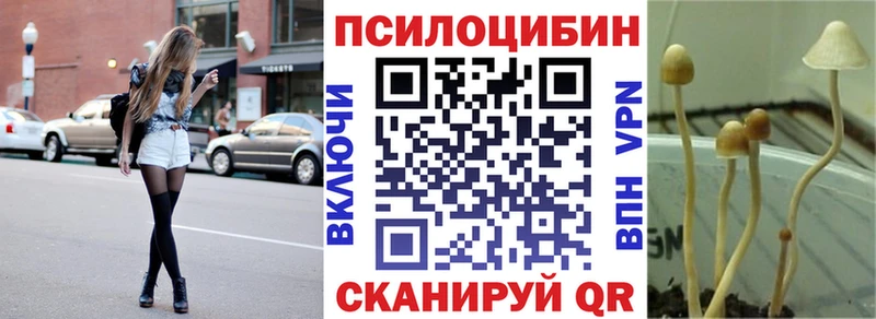 блэк спрут как войти  Евпатория  Галлюциногенные грибы ЛСД 