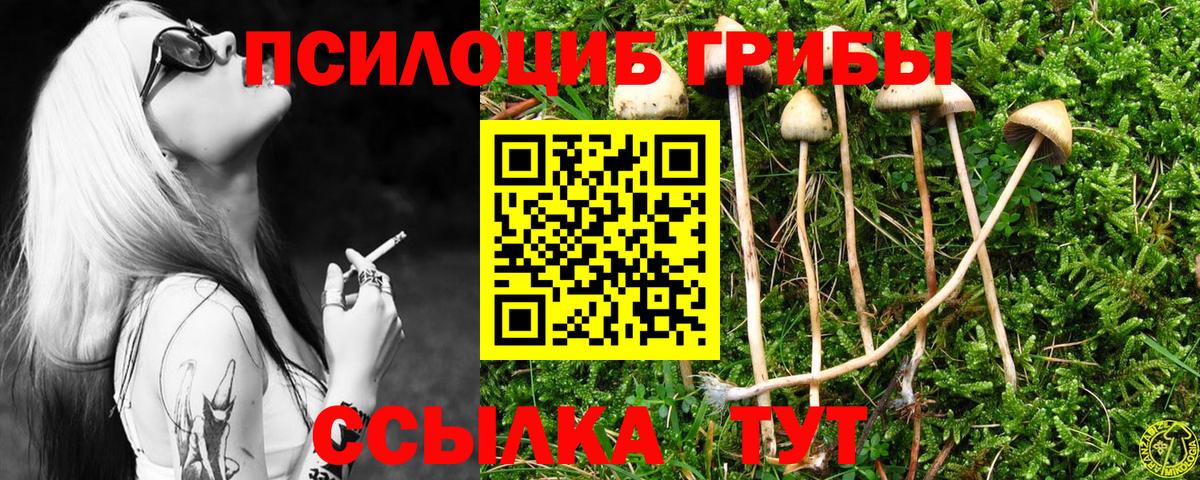 Псилоцибиновые грибы Psilocybine cubensis  Вход с VPN  Евпатория 