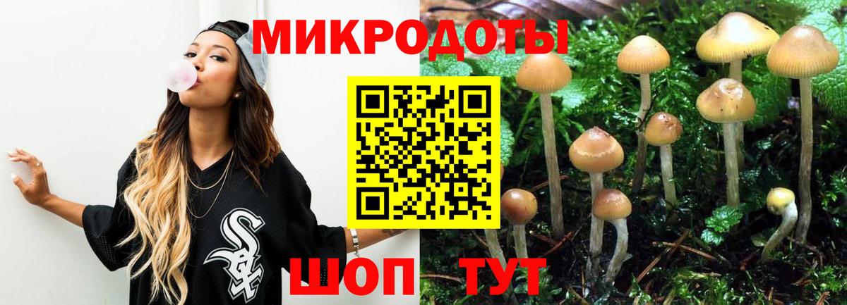 Галлюциногенные грибы Psilocybine cubensis Евпатория